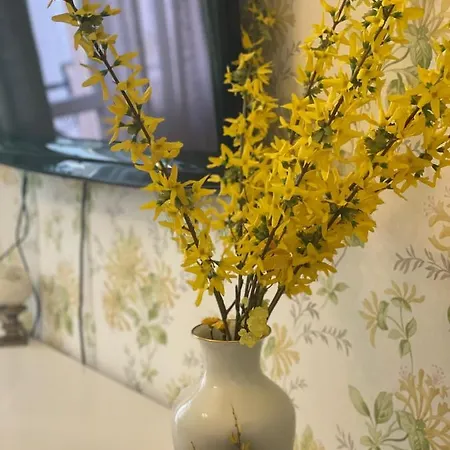 Apartamento Charming Baden-Baden