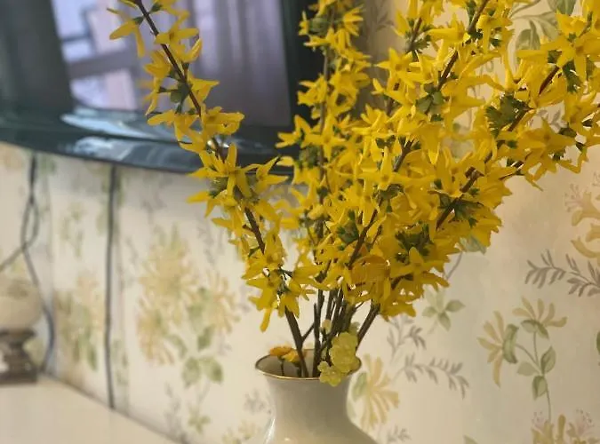 Apartment Charming Baden-Baden